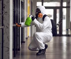 Best Asbestos and Lead Testing During Mold Inspection  in Rockwell, AR